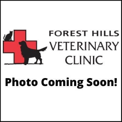 Grand Rapids, MI 49546 Veterinarians | Forest Hills Veterinary Clinic